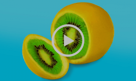 20 דרכים מקוריות ומיוחדות להגשת פירות וירקות