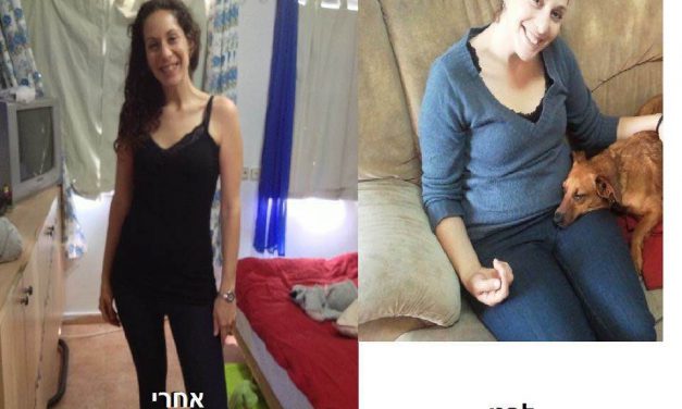 דקלה צור – סיפור הצלחה