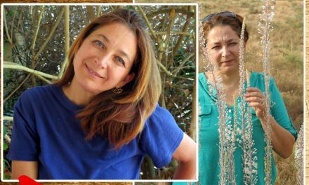 ענת משיח – סיפור הצלחה